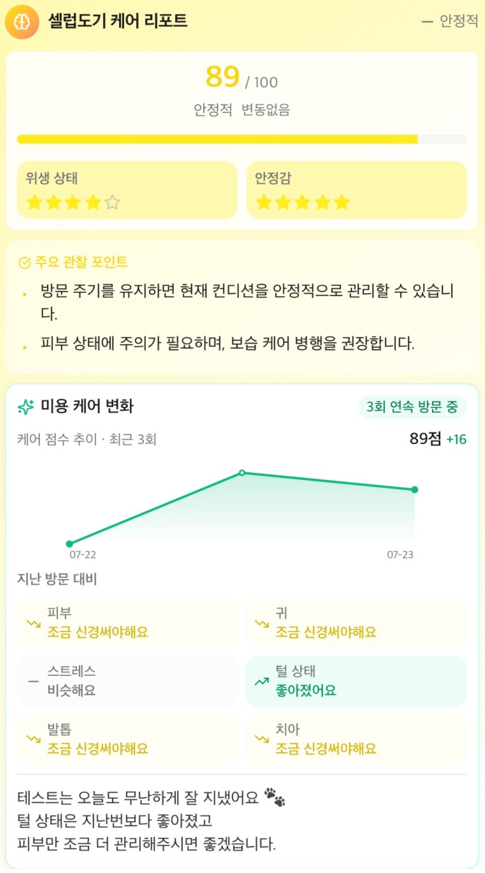 셀럽도기 케어 리포트