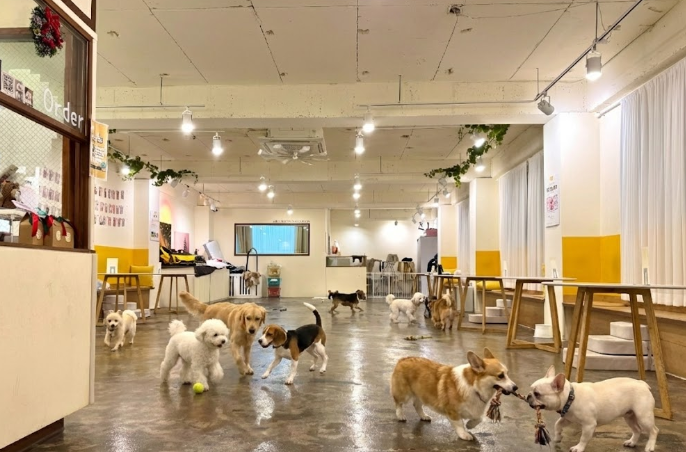 아이의 눈높이로