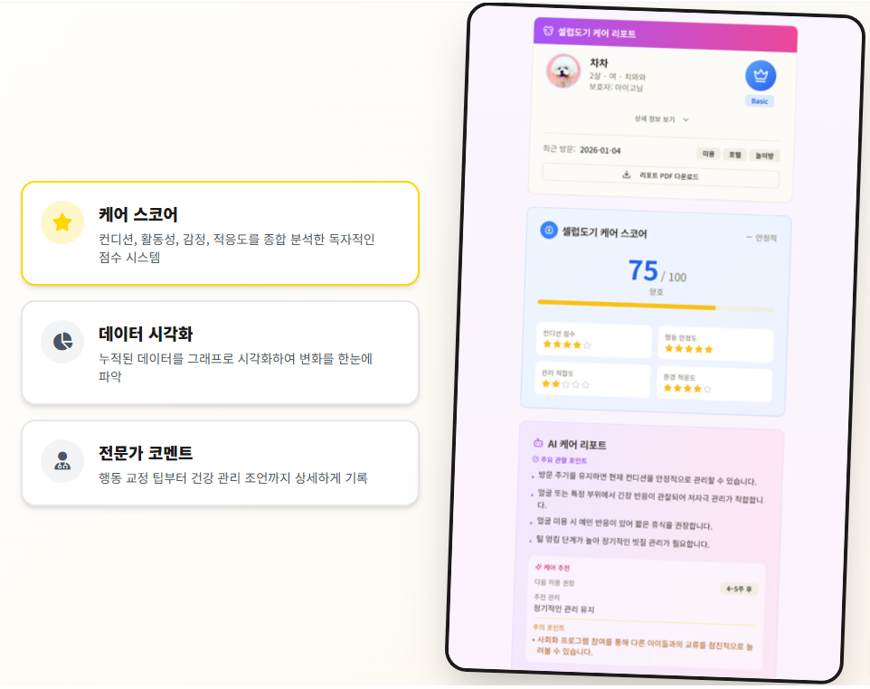 셀럽도기 멤버십 혜택 - 케어 스코어, 데이터 시각화, 전문가 코멘트, AI 케어 리포트